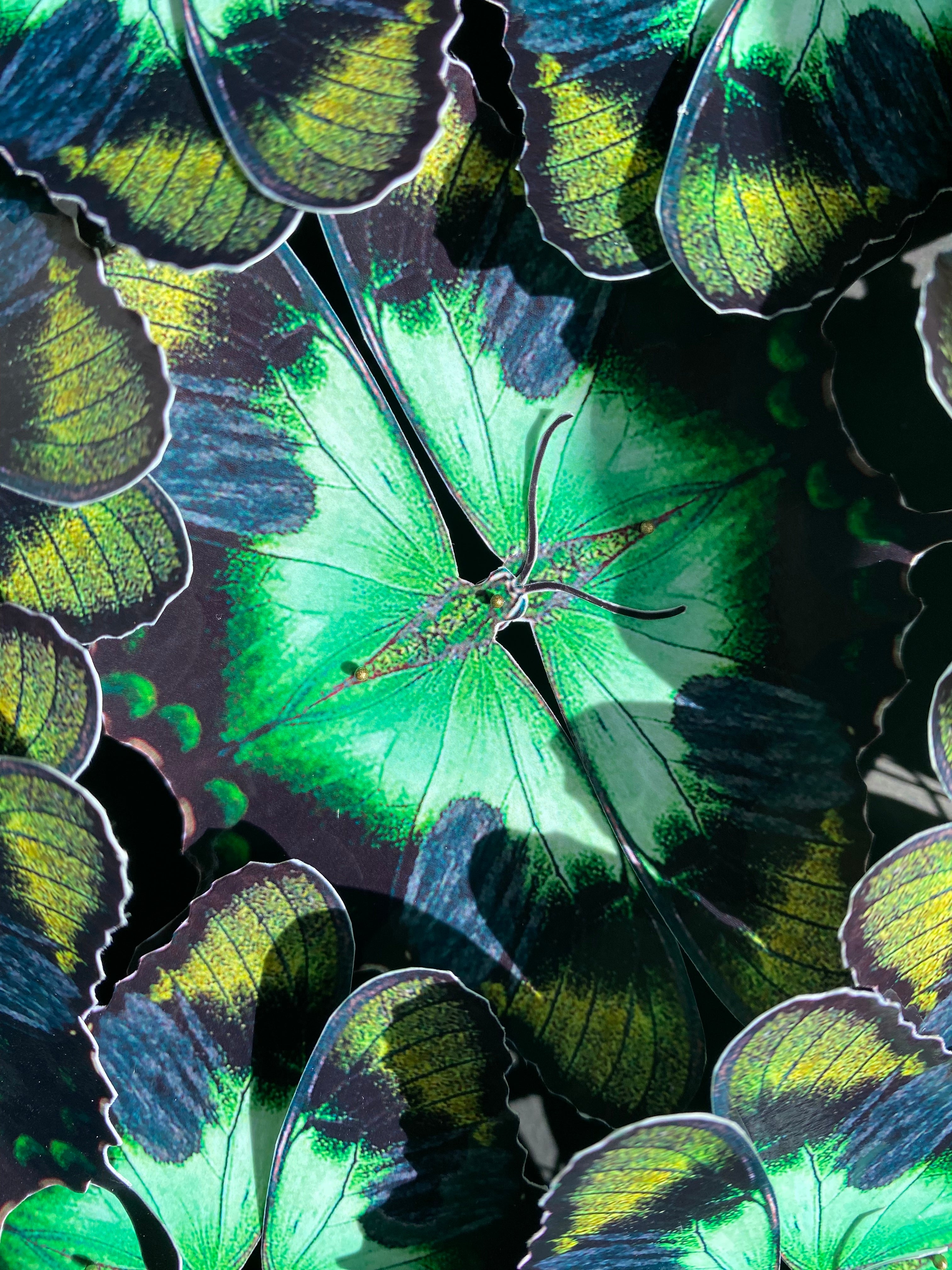 Rosace de papillons - Le jardinier vert