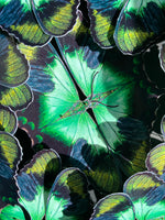Charger l&#39;image dans la galerie, Rosace de papillons - Le jardinier vert
