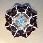 Charger l&#39;image dans la galerie, Ma rosace de papillons - Cerdagne -
