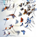 Charger l&#39;image dans la galerie, Ma rosace de papillons - Cerdagne -
