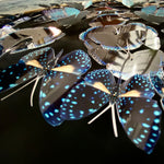 Charger l&#39;image dans la galerie, Rosace de papillons - Voie lactée
