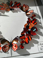 Charger l&#39;image dans la galerie, Couronne de papillons -  Rouge Flamboyant - Petit Modèle
