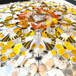 Charger l&#39;image dans la galerie, Rosace de papillons - Sunrise
