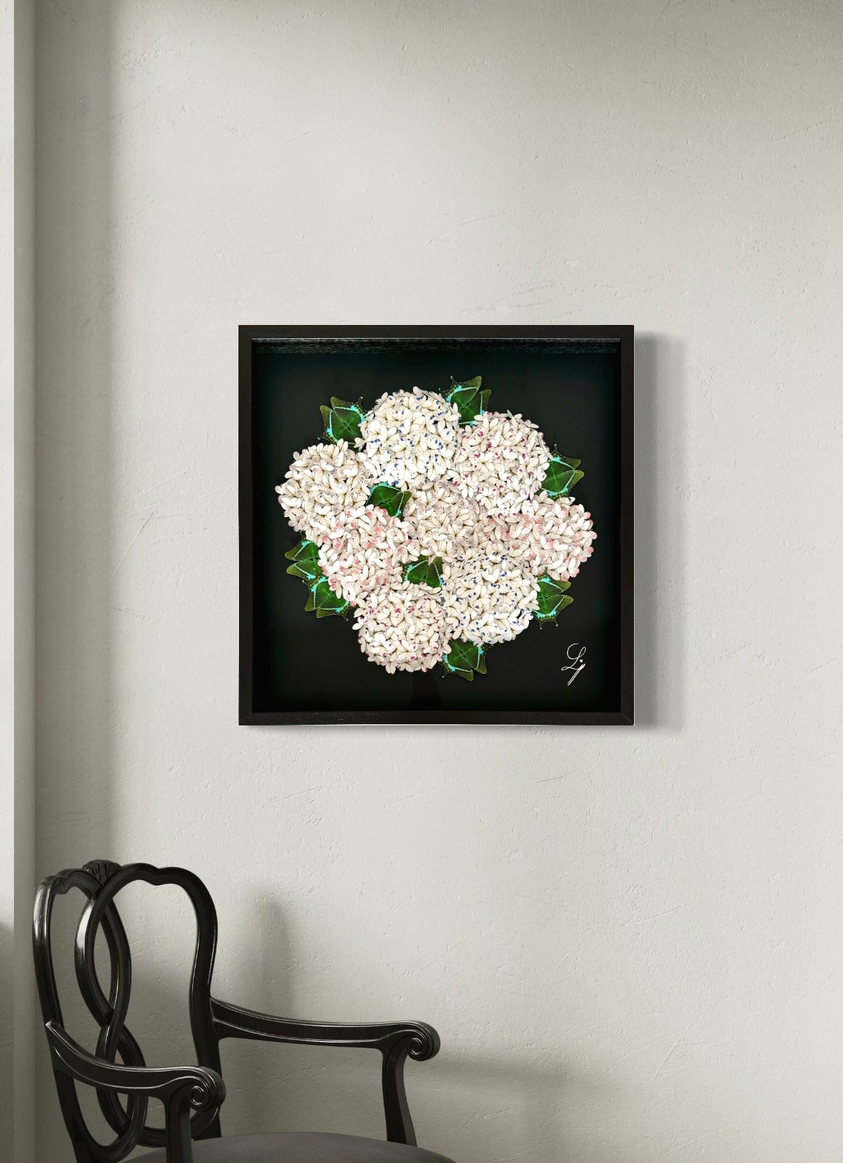 Bloomea Hortensias