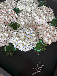 Bloomea Hortensias