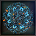 Charger l'image dans la galerie, Sanctuaire marin
