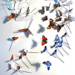 Charger l&#39;image dans la galerie, Rosace de papillons - Cerdagne -
