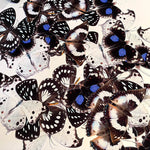 Charger l&#39;image dans la galerie, Rosace de papillons - Rainbow Nation -
