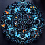 Charger l'image dans la galerie, Sanctuaire marin
