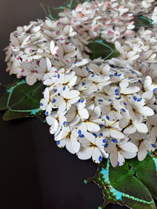 Bloomea Hortensias