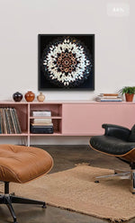 Charger l'image dans la galerie, Astrantia
