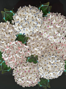 Bloomea Hortensias
