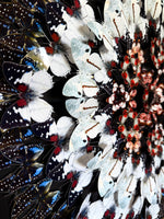 Charger l'image dans la galerie, Astrantia
