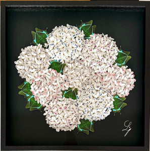 Bloomea Hortensias