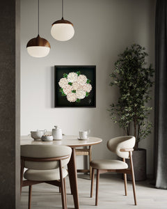 Bloomea Hortensias