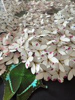 Charger l&#39;image dans la galerie, Bloomea Hortensias

