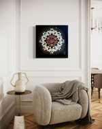 Charger l'image dans la galerie, Astrantia
