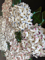 Charger l&#39;image dans la galerie, Bloomea Hortensias
