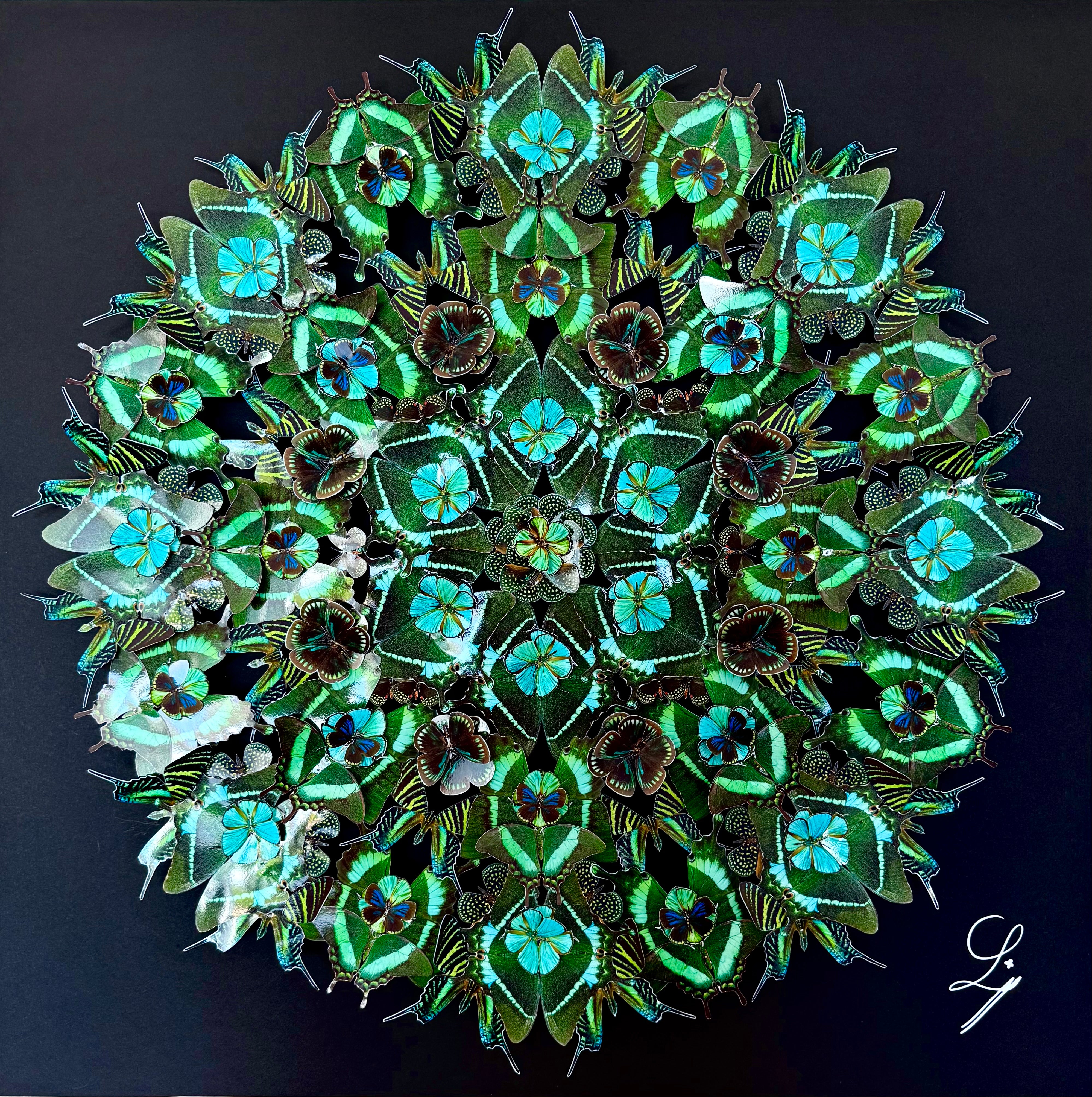 Paonpillons