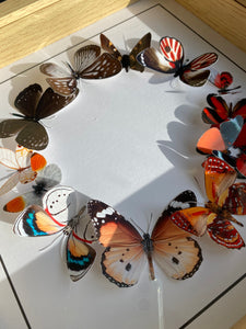 Couronne de papillons -  Groseille - Personnalisable - Petit Modèle