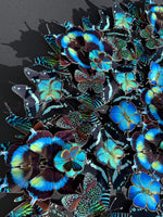 Charger l'image dans la galerie, Cobalt
