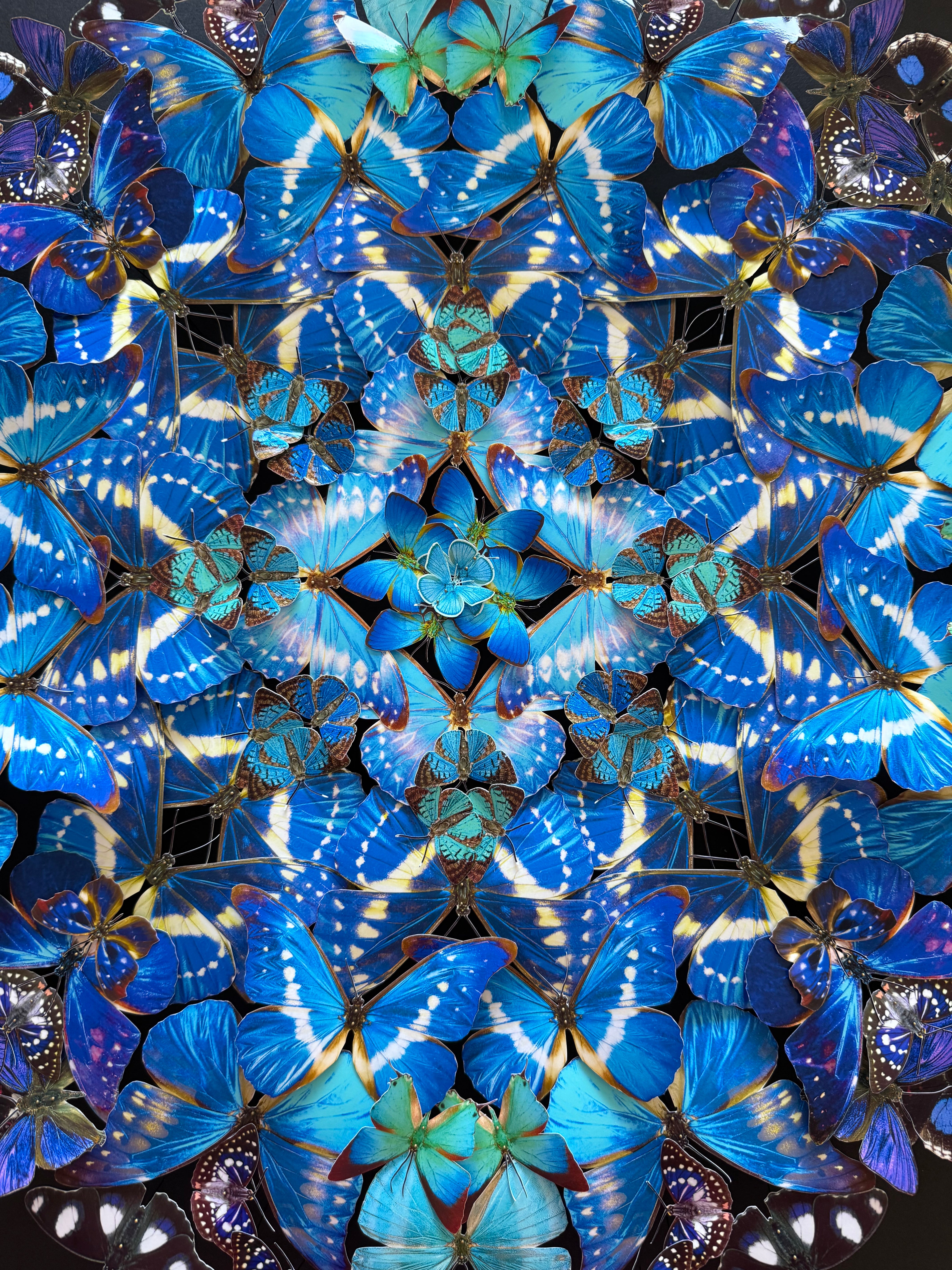 Océans