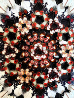 Charger l'image dans la galerie, Astrantia
