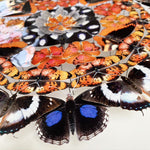 Charger l&#39;image dans la galerie, Rosace de papillons - Rainbow Nation -
