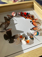 Charger l&#39;image dans la galerie, Couronne de papillons -  Groseille - Personnalisable - Petit Modèle
