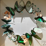 Charger l&#39;image dans la galerie, Couronne de papillons -  Printemps - Personnalisable - Petit Modèle

