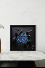 Charger l&#39;image dans la galerie, Liberté Menander
