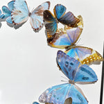 Charger l&#39;image dans la galerie, Couronne de papillons -  Turquoise - Personnalisable - Petit Modèle
