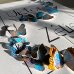 Charger l&#39;image dans la galerie, Guirlandes de papillons - Turquoise - 30X40cm - Personnalisable

