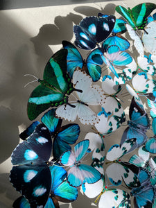Mandala de papillons - Peacock