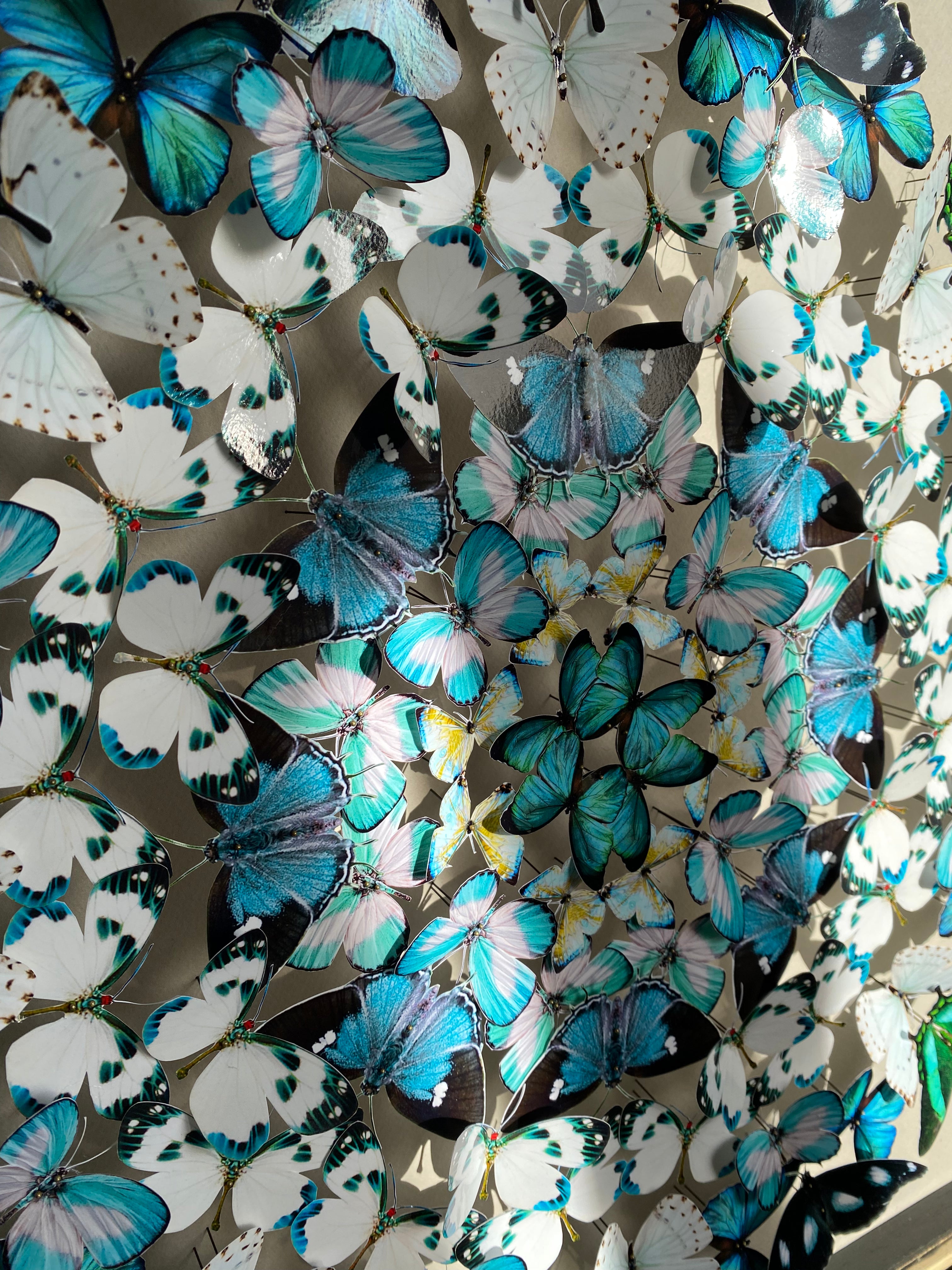 Mandala de papillons - Peacock