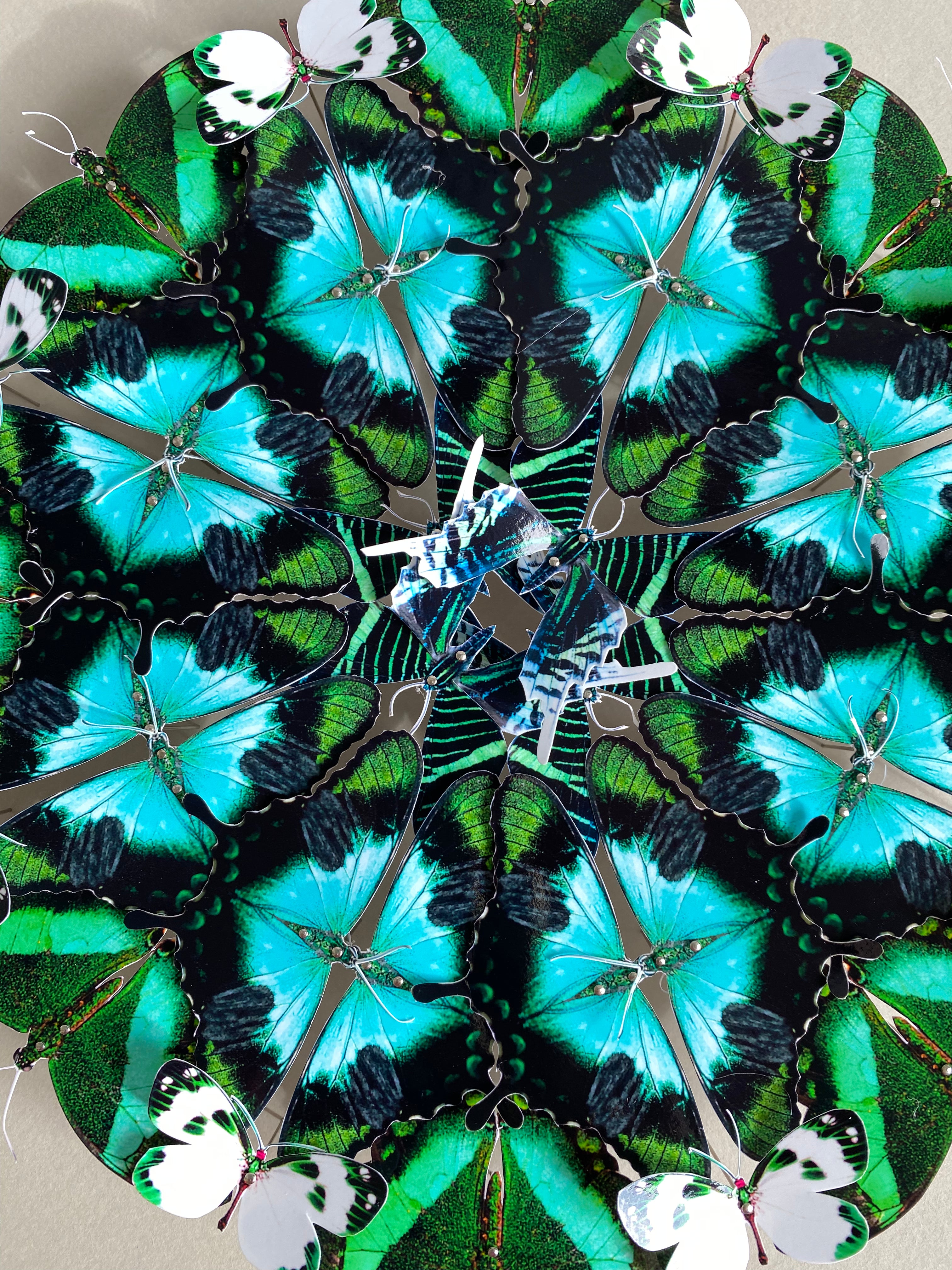 Mandala de papillons - Emeraude - Petit modèle