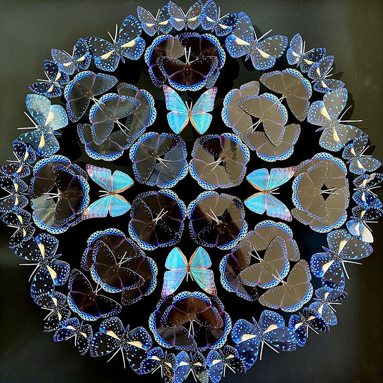 Mandala de papillons - Voie lactée