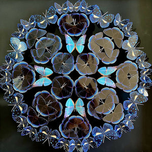 Mandala de papillons - Voie lactée