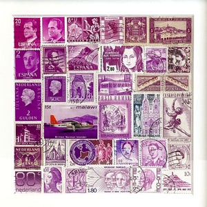 Nuance de timbres - Fuchsia