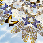 Charger l&#39;image dans la galerie, Rosace de papillons - Anis étoilé
