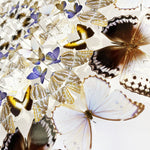 Charger l&#39;image dans la galerie, Rosace de papillons - Anis étoilé
