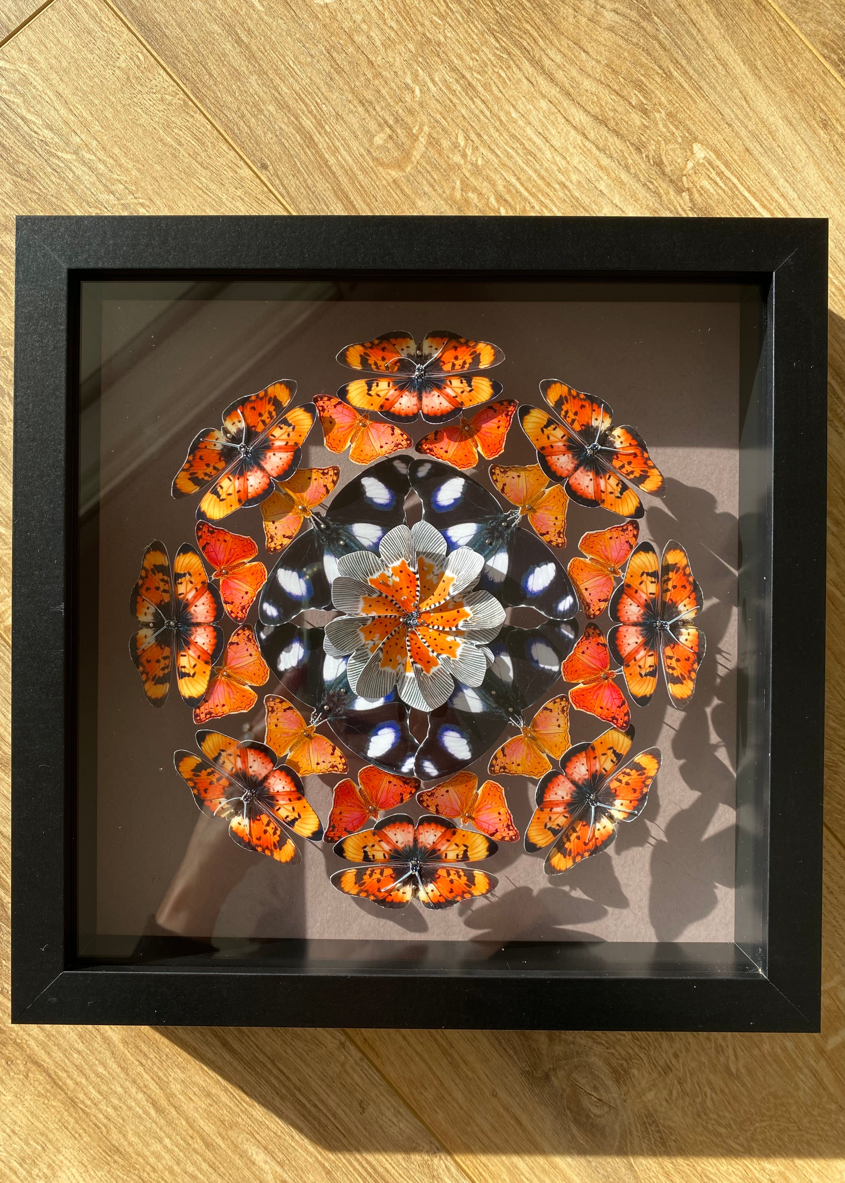 Mandala de papillons - Rainbow Nation Orange jus - Petit modèle