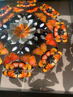 Charger l&#39;image dans la galerie, Mandala de papillons - Rainbow Nation Orange jus - Petit modèle
