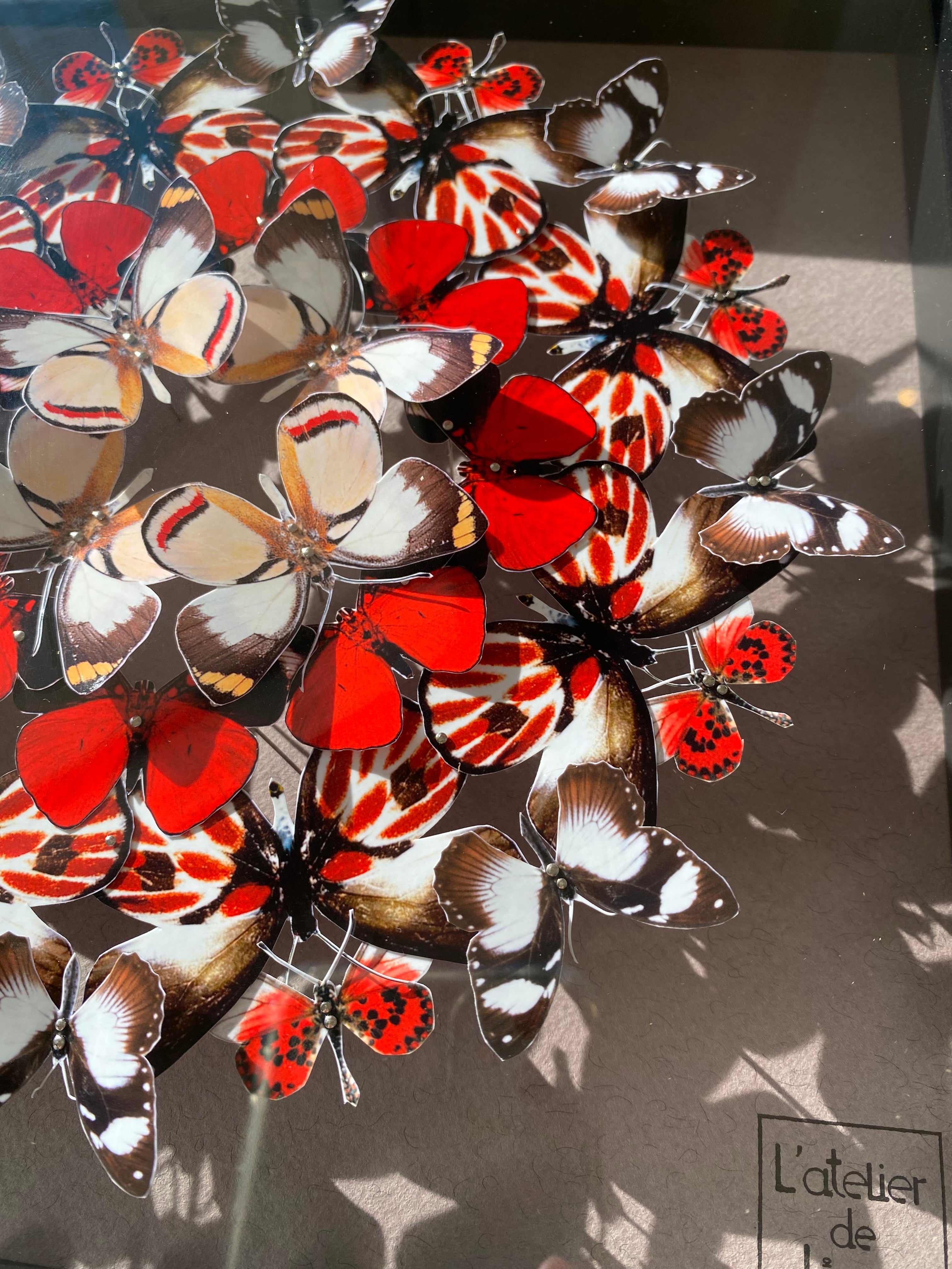 Mandala de papillons - Tarte aux fraises et chocolat - Petit modèle