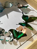 Charger l&#39;image dans la galerie, Couronne de papillons -  Printemps. - Petit Modèle
