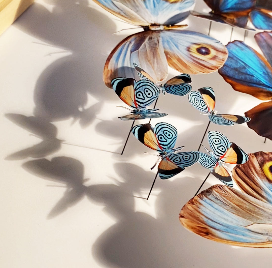 Mandala de papillons - Mama Ocllo