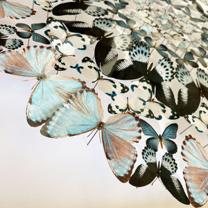 Mandala de papillons - Orage