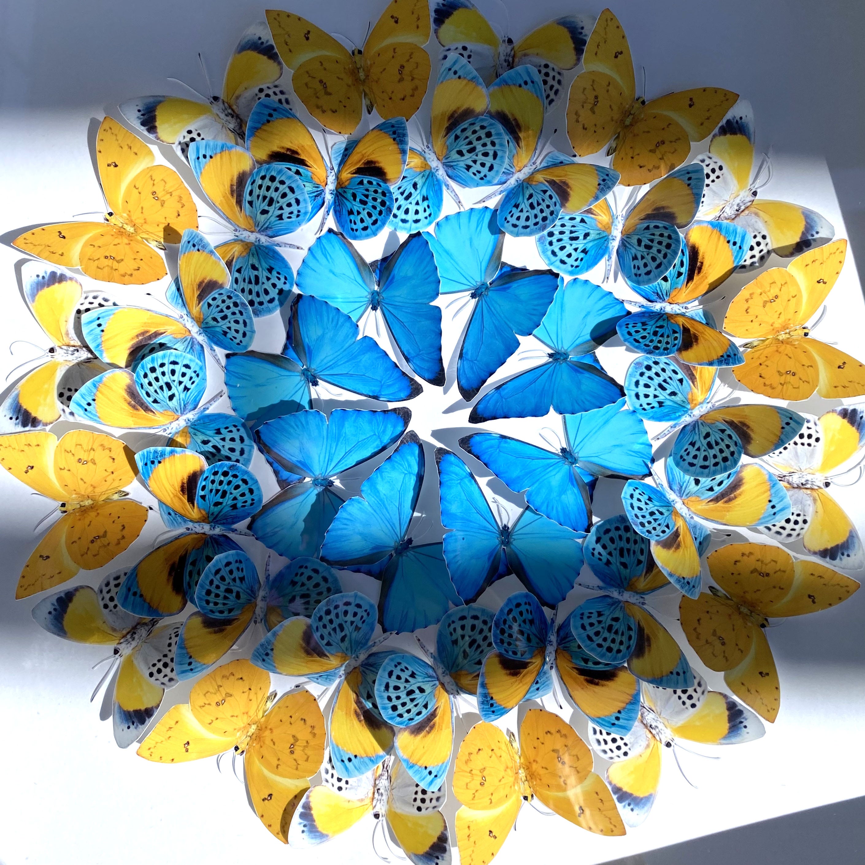 Mandala de papillons -  🇺🇦Sainte Sophie - 🤍Les bénéfices seront reversés à La Croix Rouge❤️ pour venir en aide aux Ukrainiens 🇺🇦