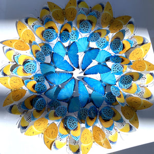 Mandala de papillons -  🇺🇦Sainte Sophie - 🤍Les bénéfices seront reversés à La Croix Rouge❤️ pour venir en aide aux Ukrainiens 🇺🇦
