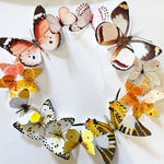 Charger l&#39;image dans la galerie, Couronne de papillons -  Sunrise - Petit Modèle
